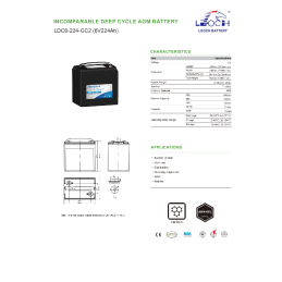 LEOCH LDC6-224GC2 6V 224Ah...